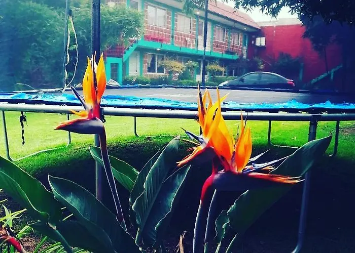 Hotel Las Fumarolas de Don Goyo Cholula