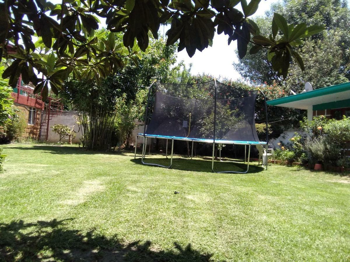 Fumarolas De Don Goyo * Cholula